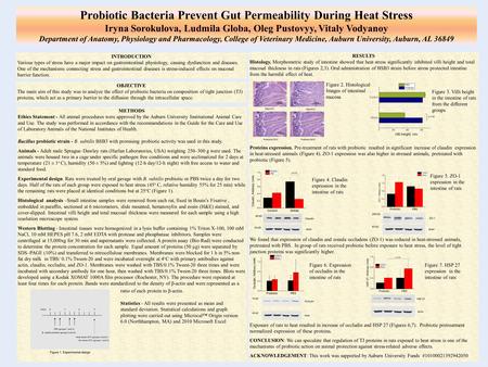 Probiotic Bacteria Prevent Gut Permeability During Heat Stress Iryna Sorokulova, Ludmila Globa, Oleg Pustovyy, Vitaly Vodyanoy Department of Anatomy, Physiology.