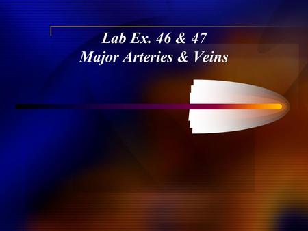 Lab Ex. 46 & 47 Major Arteries & Veins. ARTERIES.