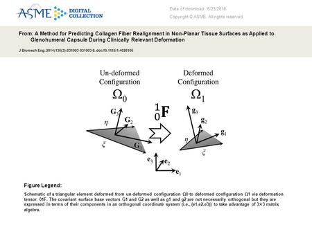 Date of download: 6/23/2016 Copyright © ASME. All rights reserved. From: A Method for Predicting Collagen Fiber Realignment in Non-Planar Tissue Surfaces.