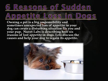 Owning a pet is a big responsibility and sometimes unexpected loss of appetite in your dog can create a disturbing situation for you and your pup. Nuvet.