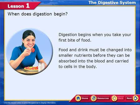 Lesson 1 When does digestion begin? Digestion begins when you take your first bite of food. The Digestive System Food and drink must be changed into smaller.