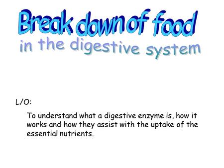 L/O: To understand what a digestive enzyme is, how it works and how they assist with the uptake of the essential nutrients.