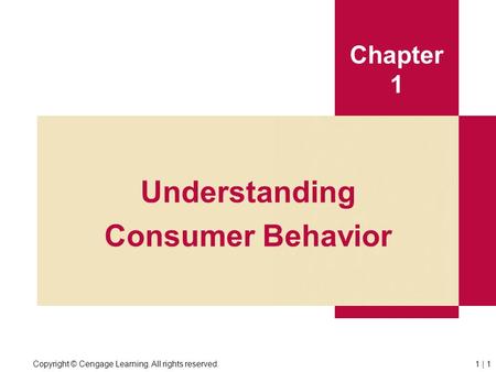 Understanding Consumer Behavior