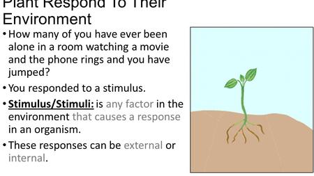 Plant Respond To Their Environment How many of you have ever been alone in a room watching a movie and the phone rings and you have jumped? You responded.