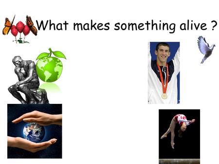 What makes something alive ?. What are living things? There are certain criteria that determine if something is living. Yes, ALL 9 criteria must be met.