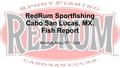 RedRum Sportfishing Cabo San Lucas, MX. Fish Report Monday, May 23 rd – 31st.