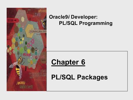 Oracle9i Developer: PL/SQL Programming Chapter 6 PL/SQL Packages.