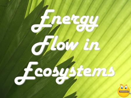 Energy Flow in Ecosystems. All Organisms Need Energy To Survive! Some organisms get energy by making it themselves These organisms are called autotrophs.