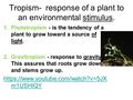 Tropism- response of a plant to an environmental stimulus. 1.Phototropism - is the tendency of a plant to grow toward a source of light. 2.Gravitropism.