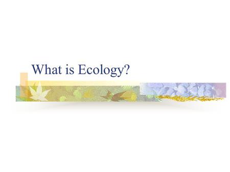 What is Ecology? Origin of the word… ” ecology ” Greek origin OIKOS = household LOGOS = study of… Study of the “ house/environment ” in which we live.