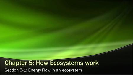 Section 5-1: Energy Flow in an ecosystem. Objectives: Describe how energy is transferred from the sun to producers and then to consumers. Describe one.