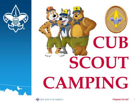 1 CUB SCOUT CAMPING. TERMINAL PERFORMANCE OBJECTIVE Identify various factors involved in conducting a successful Cub Scout Campout. 2.