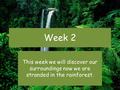 Week 2 This week we will discover our surroundings now we are stranded in the rainforest.