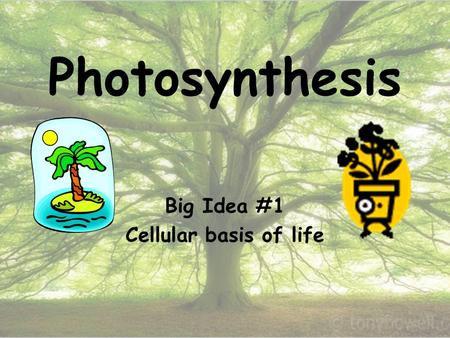 Photosynthesis Big Idea #1 Cellular basis of life.