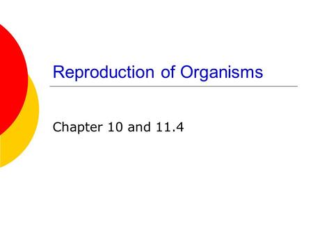 Reproduction of Organisms Chapter 10 and 11.4. Reproduction of Organisms 1. Asexual Reproduction—formation of offspring from a single parent.