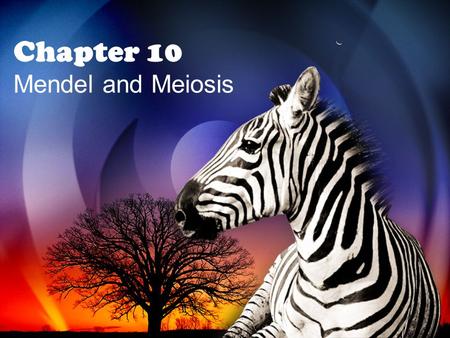 Chapter 10 Mendel and Meiosis. 10.1 Mendel’s Laws of Heredity.