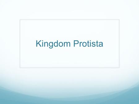 Kingdom Protista. Introduction Does not fit into kingdom fungi, animalia, or plantae Live in water Most are unicellular and some are multicellular Features.