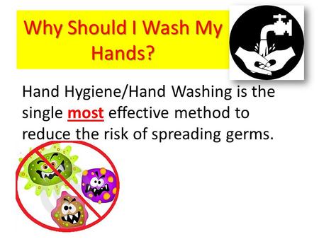 Why Should I Wash My Hands?