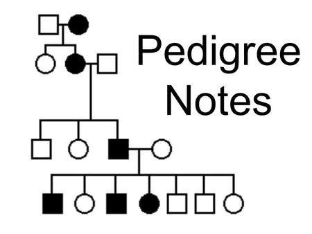 Pedigree Notes.