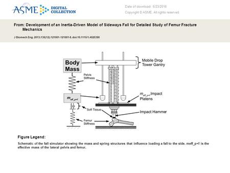 Date of download: 6/23/2016 Copyright © ASME. All rights reserved. From: Development of an Inertia-Driven Model of Sideways Fall for Detailed Study of.