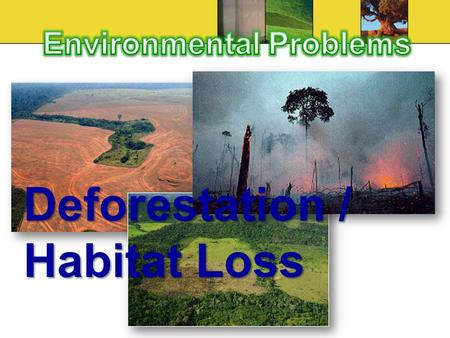 Deforestation / Habitat Loss. Cause Natural environments destroyed due to agriculture, excessive logging, forest fires, industrial and residential development.