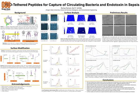 Cys-WLBU2; lysed cells Lysed Bacteria Addition PBS Rinse PEO-tethered WLBU2; lysed cells Lysed Bacteria Addition PBS Rinse PEO-tethered WLBU2; intact cells.