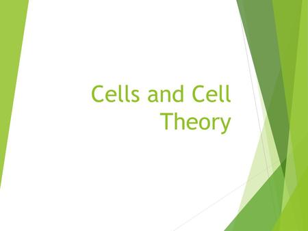 Cells and Cell Theory. Organisms – living things  All organisms are made up of cells.  Multicellular: made of many cells  Examples: Insects, snails,