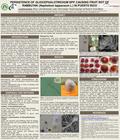 PERSISTENCE OF GLIOCEPHALOTRICHUM SPP. CAUSING FRUIT ROT OF RAMBUTAN (Nephelium lappaceum L.) IN PUERTO RICO Luz M.Serrato-Diaz 1, Elena I. Latoni-Brailowsky.