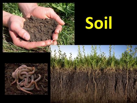 Soil.