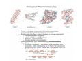 Redox reactions Describe chemical reactions in which electrons are exchangedchemical reactions Oxidation is the loss of electronselectrons Reduction.