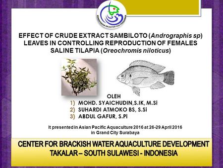 EFFECT OF CRUDE EXTRACT SAMBILOTO (Andrographis sp) LEAVES IN CONTROLLING REPRODUCTION OF FEMALES SALINE TILAPIA (Oreochromis niloticus) It presented in.