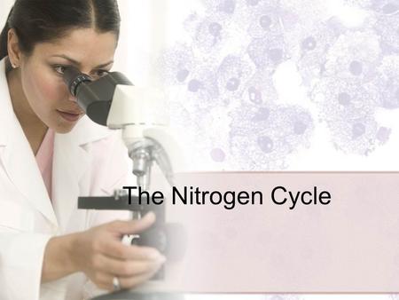 The Nitrogen Cycle. Why is nitrogen important? Its an essential part of many biological molecules. Proteins Nucleic acids (DNA) Chlorophyll Adenosine.