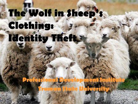 The Wolf in Sheep’s Clothing: Identity Theft Professional Development Institute Truman State University.