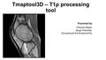 Tmaptool3D – T1ρ processing tool Presented by Chetana Bayas Gargi Pednekar Guruprasad Krishnamoorthy.