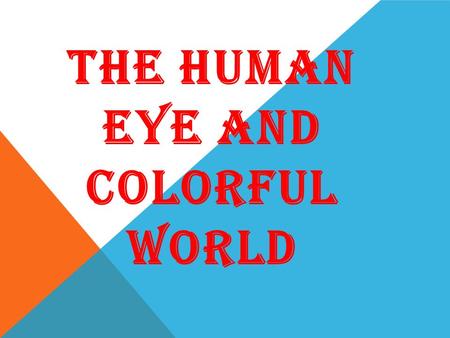 The human eye and colorful world