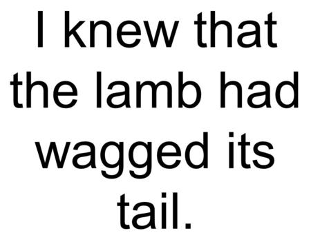 I knew that the lamb had wagged its tail.. Ben knows he has to practice tying the knots.