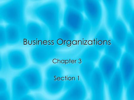 Business Organizations Chapter 3 Section 1 Chapter 3 Section 1.