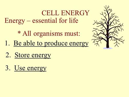 CELL ENERGY Energy – essential for life * All organisms must: 1. Be able to produce energy 2. Store energy 3. Use energy.