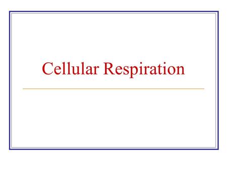 Cellular Respiration.