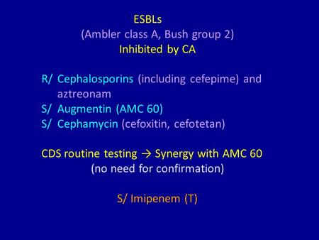 (Ambler class A, Bush group 2) Inhibited by CA