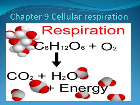 Chemical energy and food 1 g of glucose (C 6 H 12 O 6 ) releases 3811 calories of heat when burned in the presence of oxygen FYI: 1 calorie is the amount.