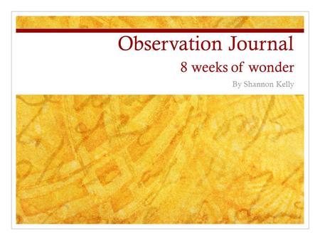 Observation Journal 8 weeks of wonder By Shannon Kelly.