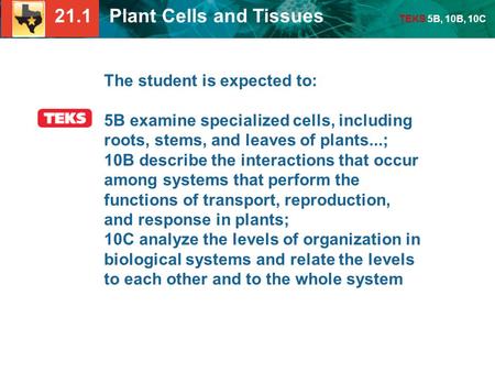 21.1 Plant Cells and Tissues TEKS 5B, 10B, 10C The student is expected to: 5B examine specialized cells, including roots, stems, and leaves of plants...;