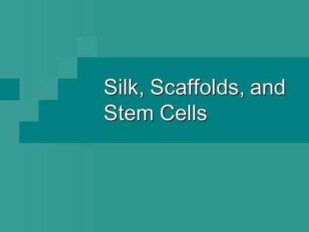 Silk, Scaffolds, and Stem Cells