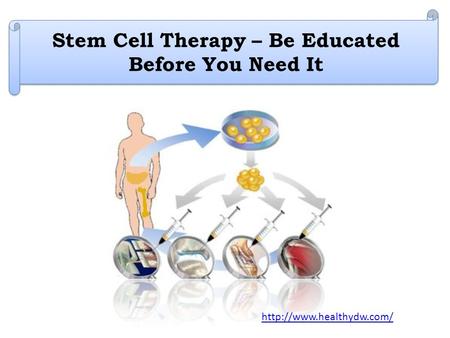 Stem Cell Therapy – Be Educated Before You Need It