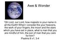 Awe & Wonder “Oh Lord, our Lord, how majestic is your name in all the Earth! When I consider the your heavens, the work of your fingers, the moon and the.