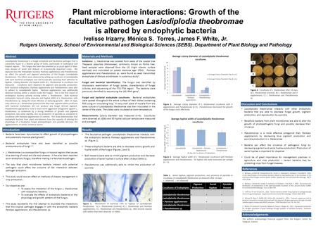 Plant microbiome interactions: Growth of the facultative pathogen Lasiodiplodia theobromae is altered by endophytic bacteria Ivelisse Irizarry, Mónica.