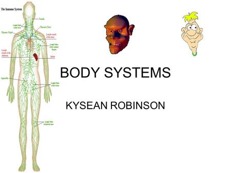 BODY SYSTEMS KYSEAN ROBINSON. Your lymphatic system returns leaked fluids to blood vessels. Also helps fight gems. LYMPHATIC SYSTEM.