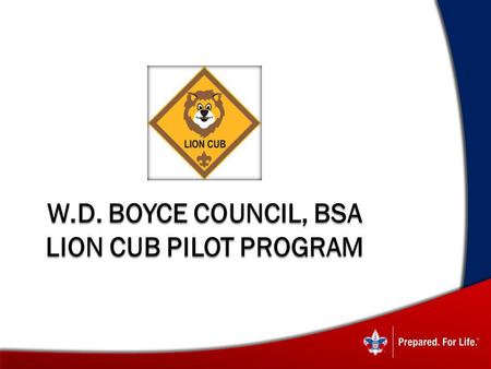 W.D. Boyce Council, BSA Lion Cub Pilot Program