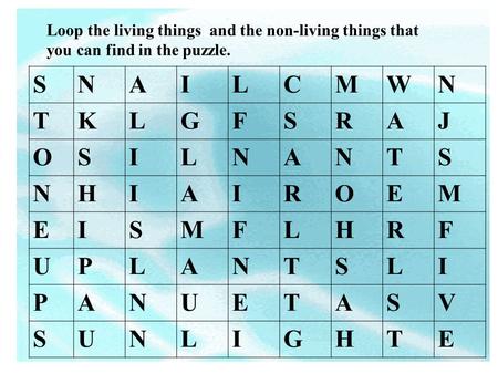 SNAILCMWN TKLGFSRAJ OSILNANTS NHIAIROEM EISMFLHRF UPLANTSLI PANUETASV SUNLIGHTE Loop the living things and the non-living things that you can find in.